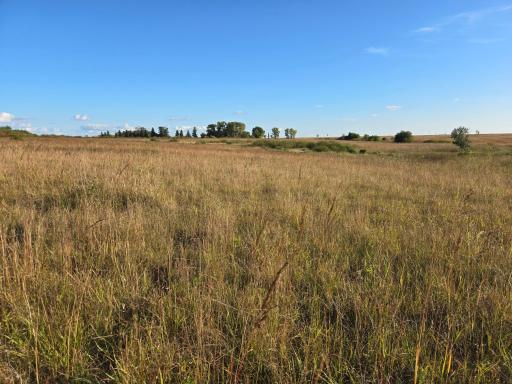 TBD 340th Street, Ogema, MN 56569