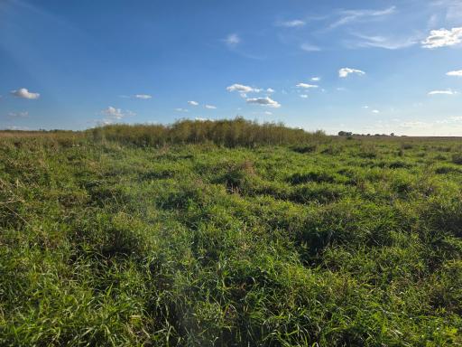 TBD 340th Street, Ogema, MN 56569