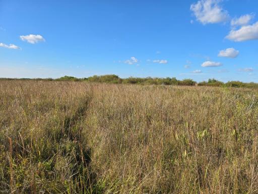 TBD 340th Street, Ogema, MN 56569