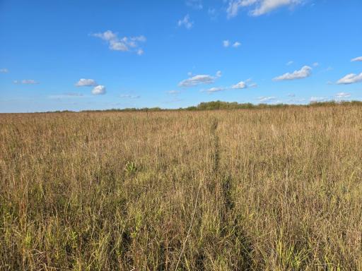 TBD 340th Street, Ogema, MN 56569