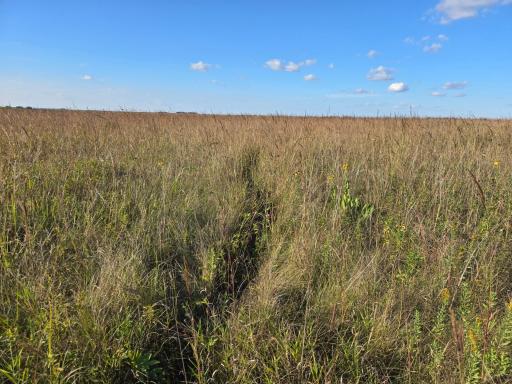 TBD 340th Street, Ogema, MN 56569