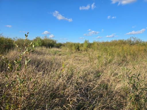 TBD 340th Street, Ogema, MN 56569