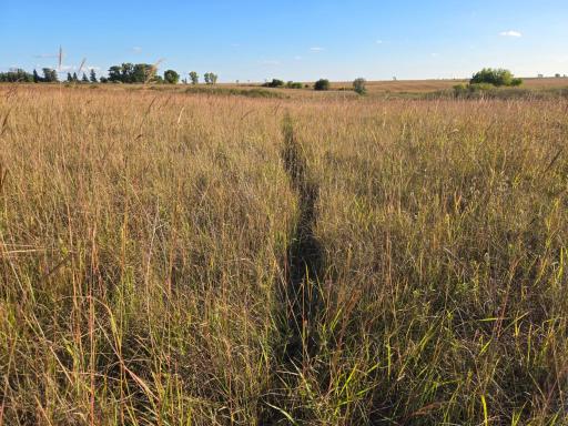 TBD 340th Street, Ogema, MN 56569