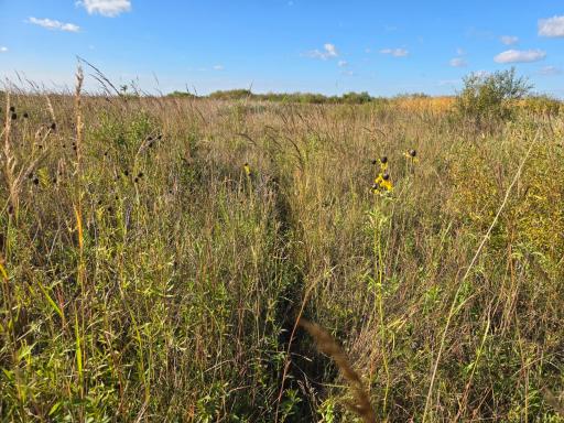 TBD 340th Street, Ogema, MN 56569