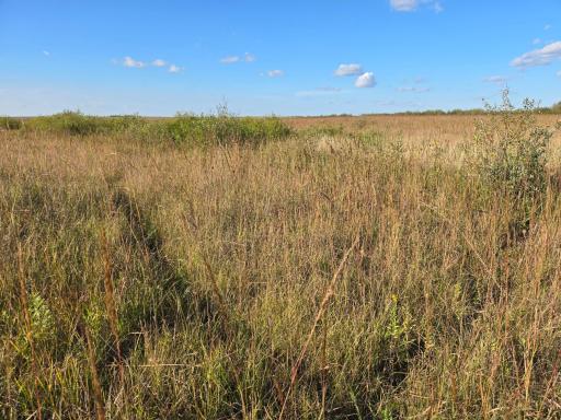 TBD 340th Street, Ogema, MN 56569