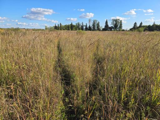 TBD 340th Street, Ogema, MN 56569