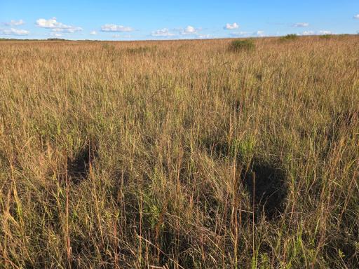 TBD 340th Street, Ogema, MN 56569