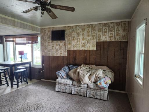 324 E Sanborn Street, Springfield, MN 56087