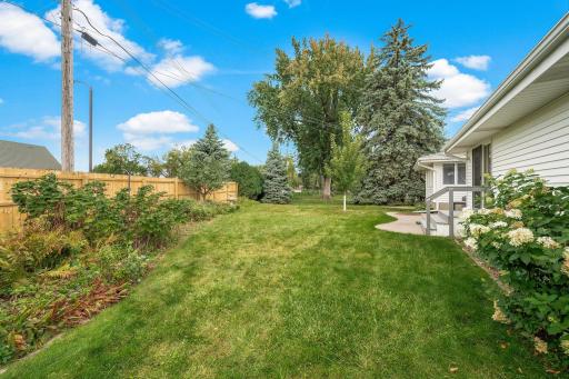 Backyard with Privacy Fence