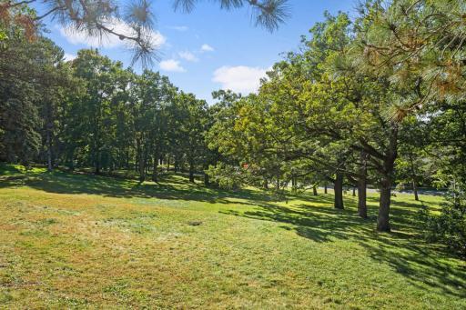 Gently sloping lawn to the 550' of street frontage