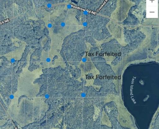 Hunters paradise! Sale includes 141 acres, bunk house, shed and electric services connected! Total of 5 PIDs. Contact county for information on tax forfeited land which adjoins Twin Island Lake.
