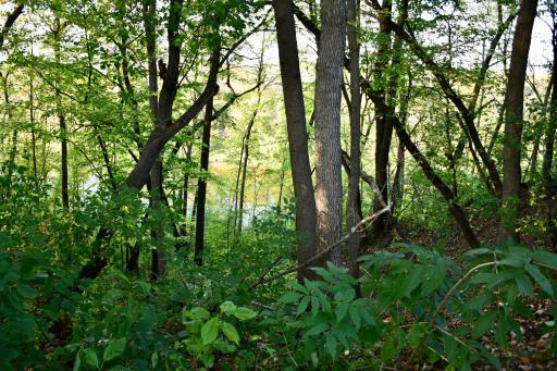 1124 River Drive NE, Red Lake Falls, MN 56750