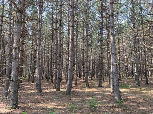 lot 2 Fawn Lake Road, Crosslake, MN 56442