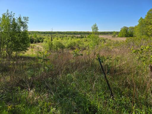 TBD 360th Street, Onamia, MN 56359