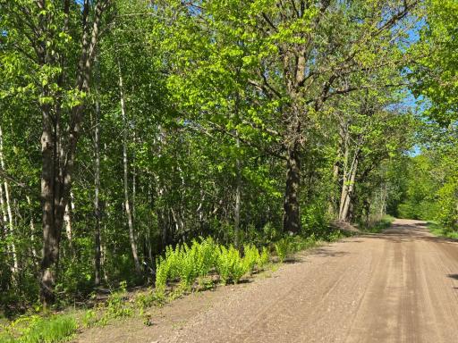 TBD 360th Street, Onamia, MN 56359