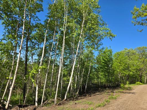 XXXXX 360th Street, Onamia, MN 56359