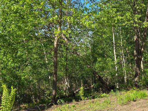TBD 360th Street, Onamia, MN 56359