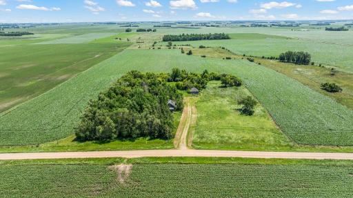 Mature tree line, established gravel driveway, and open grassland