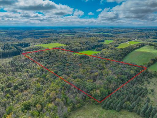 Enjoy proven hunting land, abundant wildlife, and space for hiking or simply taking in the quiet of your own private escapeâall within an excellent location with easy access to everything!