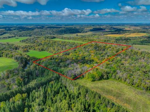 Build your dream home on this expansive 19.78-acre retreat, surrounded by rolling topography and beautiful hardwood trees. A prime building site overlooks your acreage, offering the perfect blend of privacy and natural beauty.