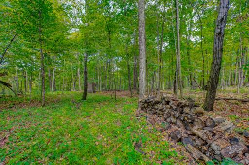 xxx 810th Avenue, River Falls, WI 54022