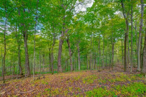 xxx 810th Avenue, River Falls, WI 54022
