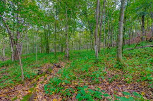 xxx 810th Avenue, River Falls, WI 54022