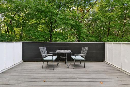The maintenance-free Deck is a private, tree-top oasis.