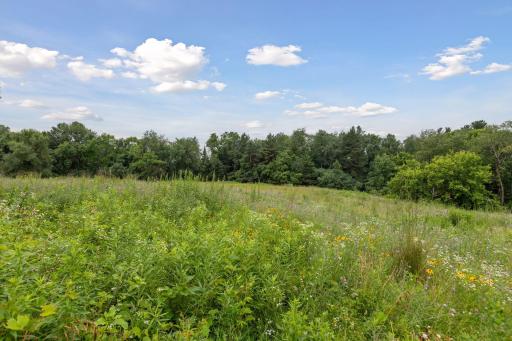 260 Salem Church Road, Sunfish Lake, MN 55118