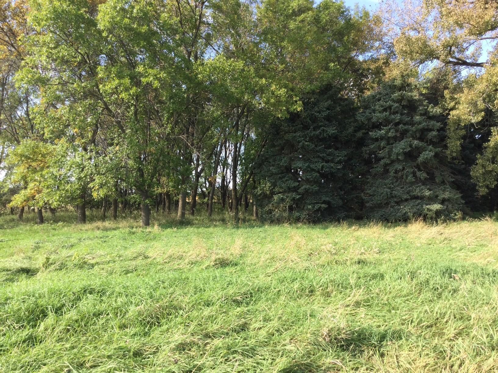 West view