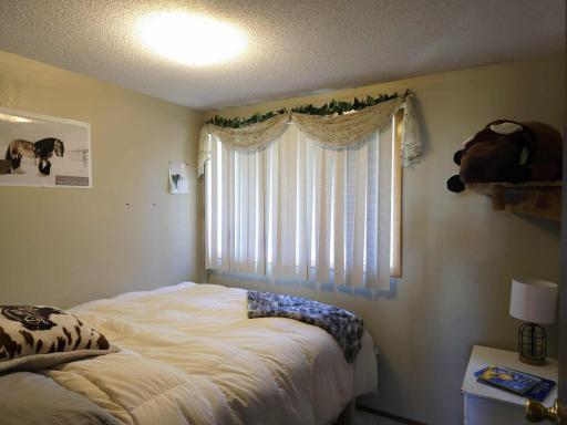 13919 State Highway 32 SE, Red Lake Falls, MN 56750