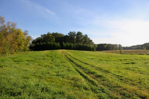 TBD Kasota Trail, Kilkenny, MN 55052