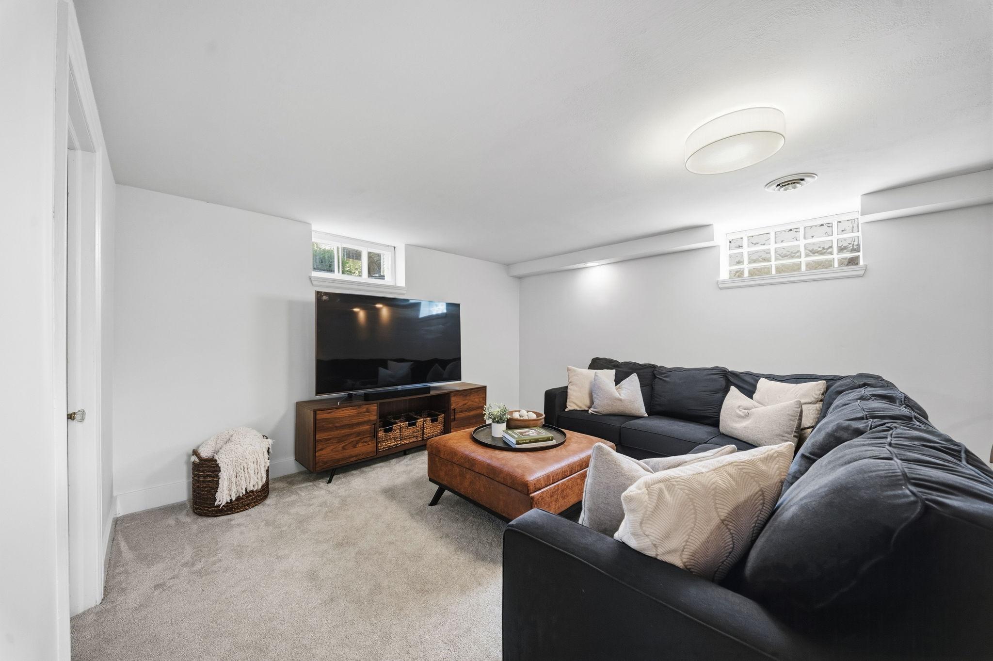 Lower level family room