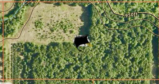 Tranquil 20 acres with an amazing mix of woods and grown up field