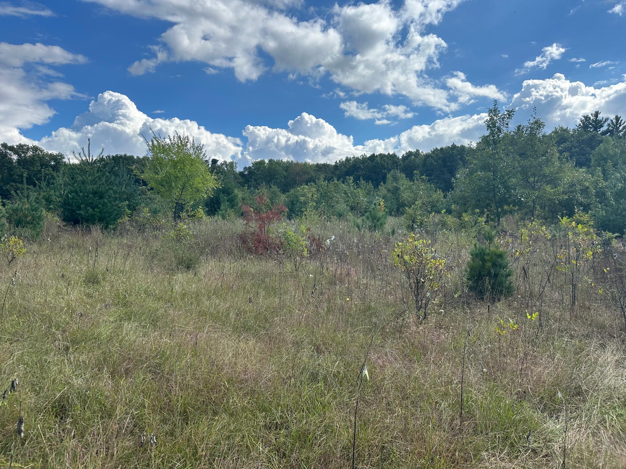 5 acre open builder building location