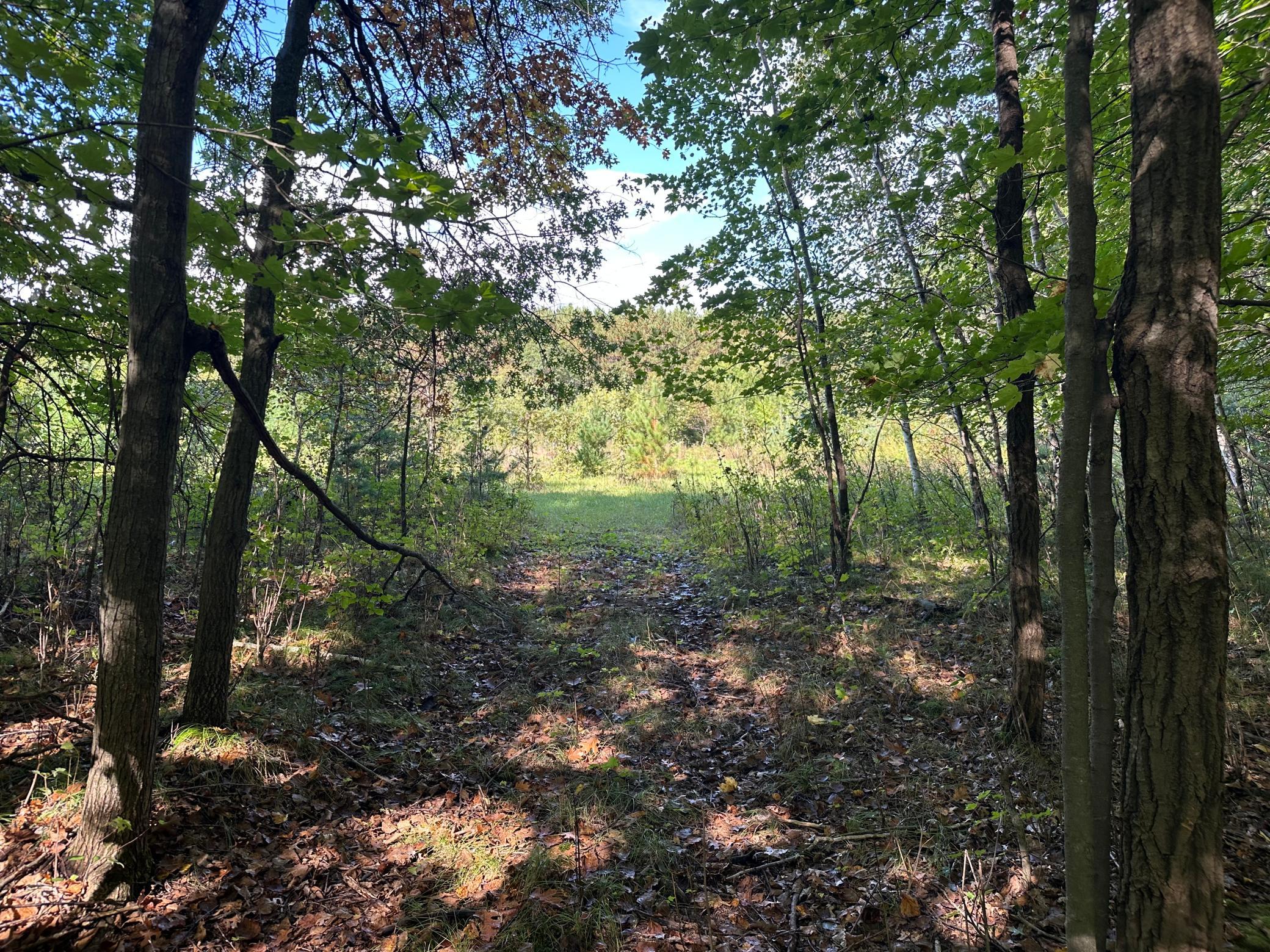 Property photo for XXX 424th Street, Harris, MN 55032