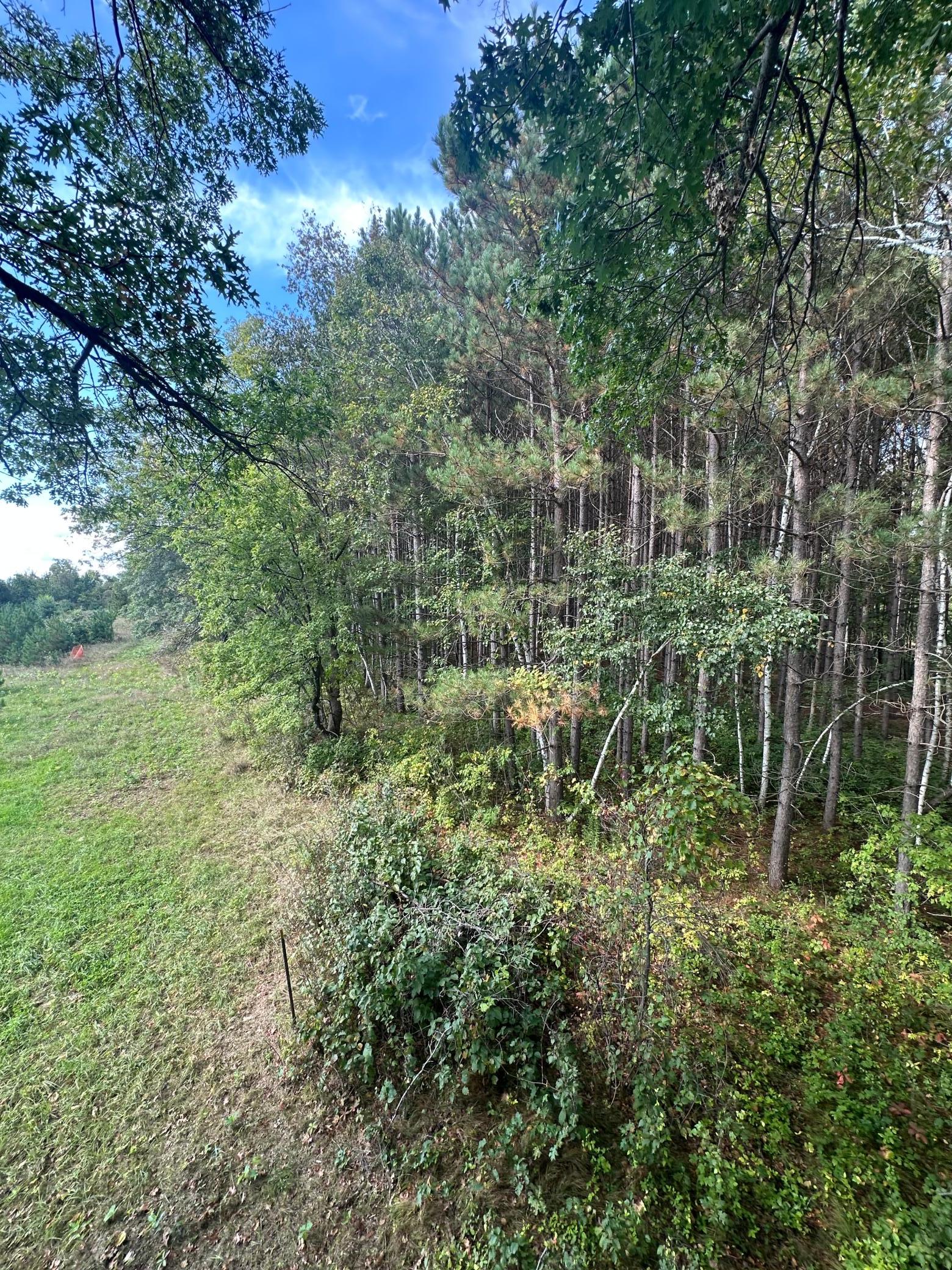Edge of the 5 acre field