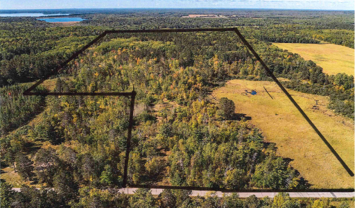 39687 Swanburg Road, Pine River, MN 56474