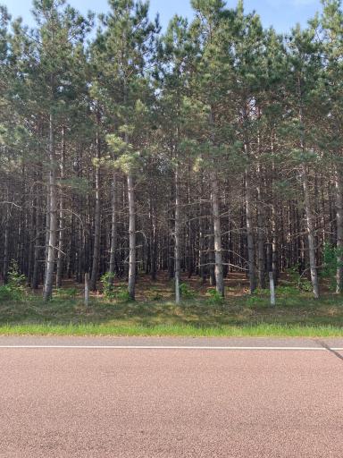 Lot 6 Fawn Lake Road, Crosslake, MN 56472