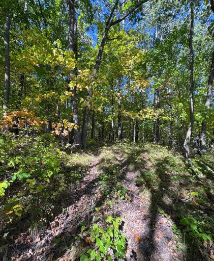 43828 330th Lane, Aitkin, MN 56431