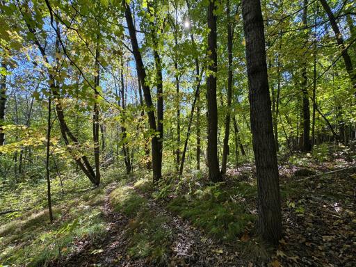 43828 330th Lane, Aitkin, MN 56431