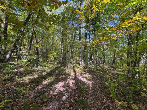 43828 330th Lane, Aitkin, MN 56431