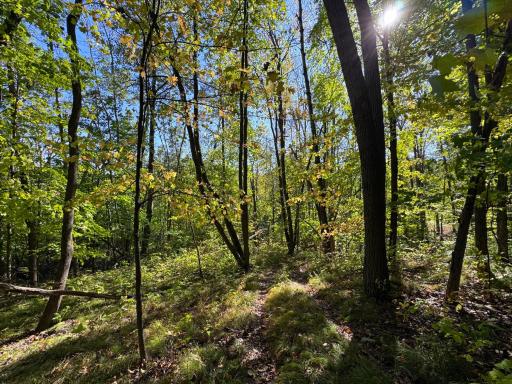 43828 330th Lane, Aitkin, MN 56431