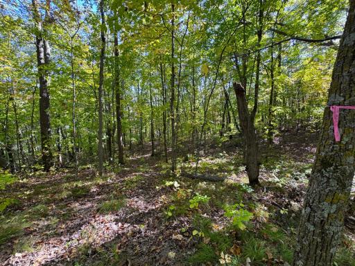 43828 330th Lane, Aitkin, MN 56431