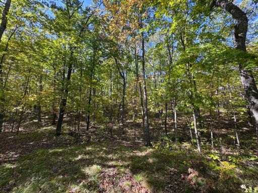 43828 330th Lane, Aitkin, MN 56431
