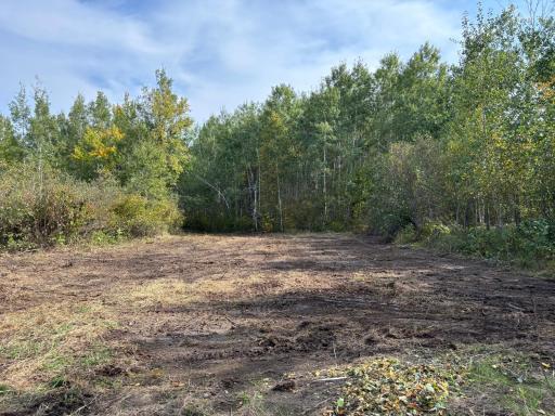 This is the second build site cleared. This one is plenty big enough for a large pole building if you would like.
