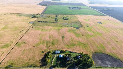 Two parcels consisting of 35.9 acres of tillable land near Cosmos.
