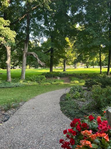 5455 Timber Trail, Maple Plain, MN 55359