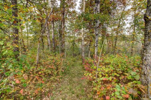 851 E Blueberry River Drive, Menahga, MN 56464