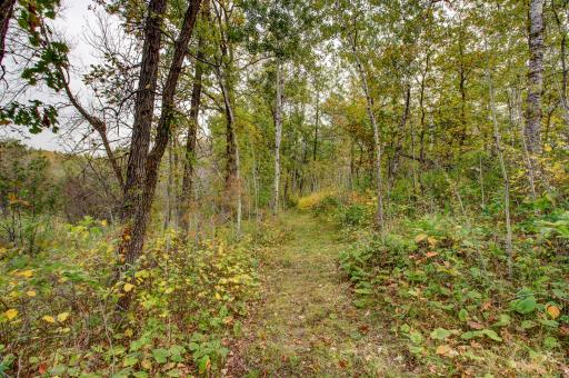 851 E Blueberry River Drive, Menahga, MN 56464